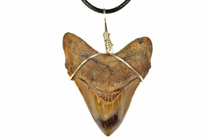 Fossil Megalodon Tooth Necklace - Serrated Blade #130915
